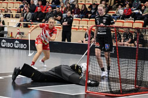 20260102 PixboStorvreta 0040