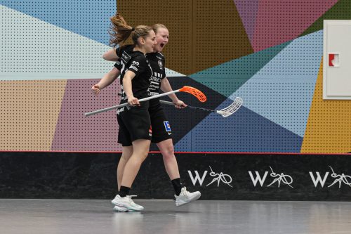 20260102 PixboStorvreta 0051