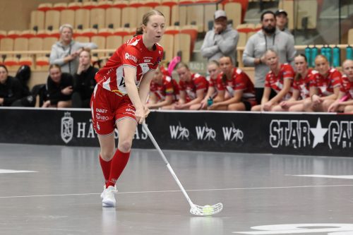 20260102 PixboStorvreta 0079