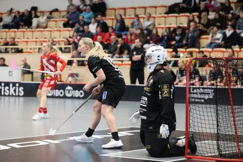 20260102 PixboStorvreta 0083