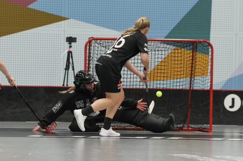 20260102 PixboStorvreta 0088