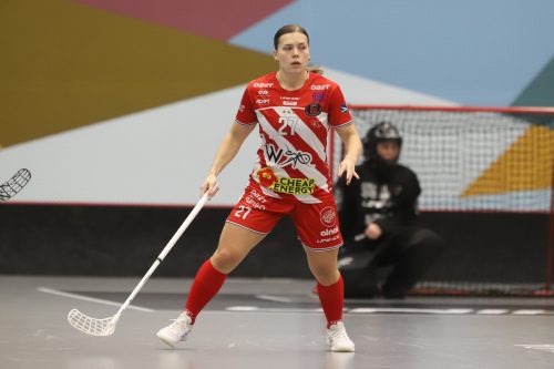 20260102 PixboStorvreta 0089