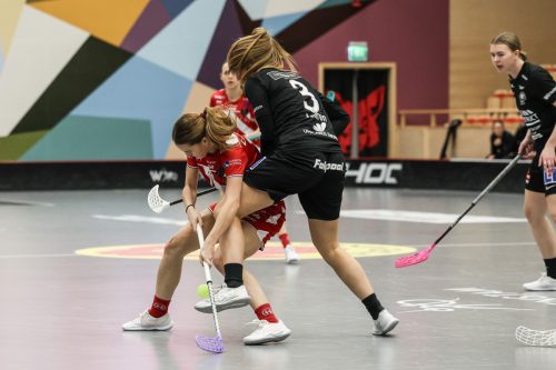 20260102 PixboStorvreta 0097