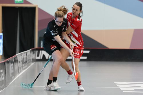 20260102 PixboStorvreta 0099