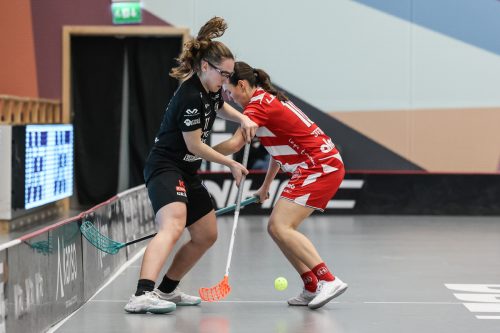 20260102 PixboStorvreta 0101