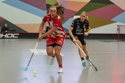 20260102 PixboStorvreta 0107