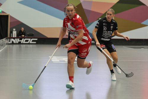 20260102 PixboStorvreta 0108