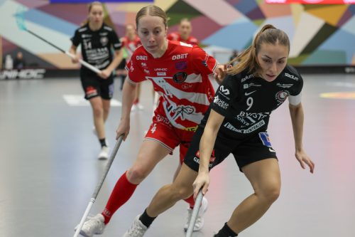 20260102 PixboStorvreta 0128