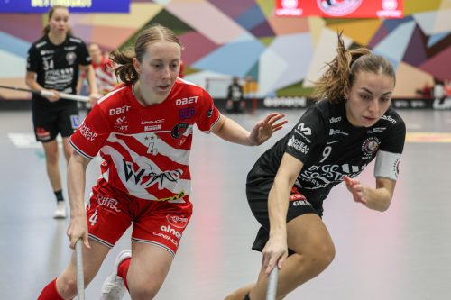 20260102 PixboStorvreta 0129