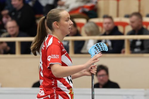 20260102 PixboStorvreta 0130