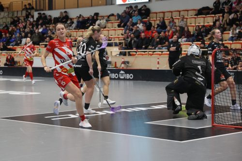 20260102 PixboStorvreta 0135