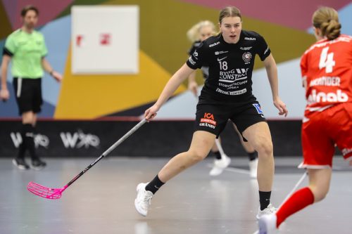 20260102 PixboStorvreta 0181