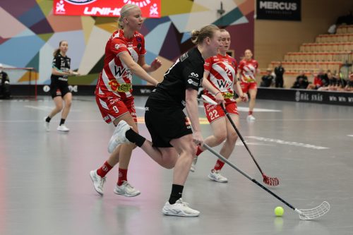 20260102 PixboStorvreta 0188