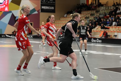 20260102 PixboStorvreta 0189