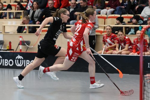 20260102 PixboStorvreta 0190