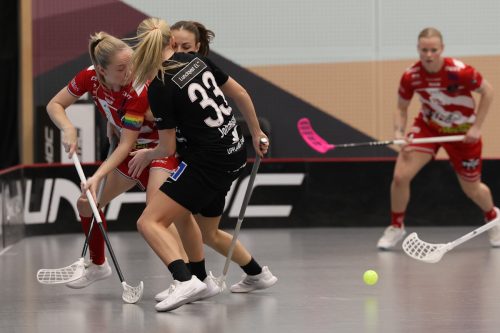 20260102 PixboStorvreta 0195