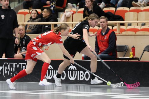 20260102 PixboStorvreta 0199