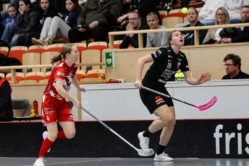 20260102 PixboStorvreta 0201