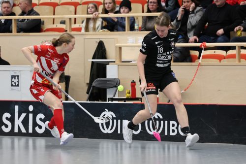 20260102 PixboStorvreta 0202