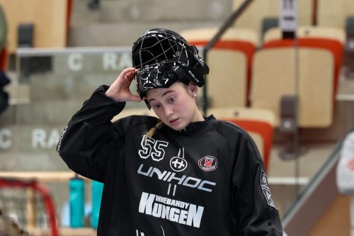 20260102 PixboStorvreta 0205