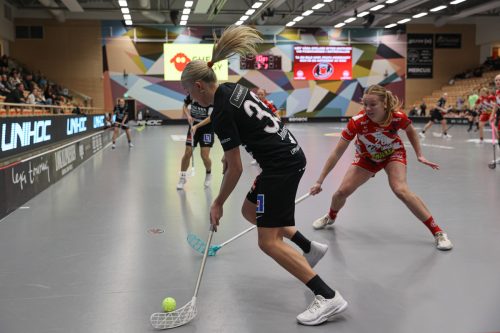 20260102 PixboStorvreta 0212