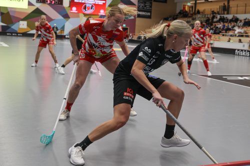 20260102 PixboStorvreta 0215