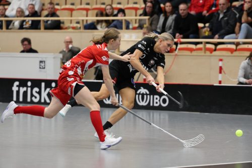 20260102 PixboStorvreta 0221