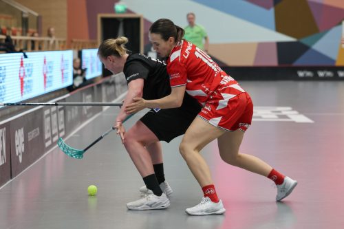 20260102 PixboStorvreta 0225