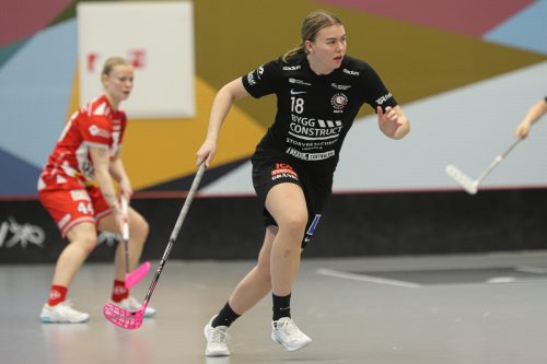 20260102 PixboStorvreta 0236