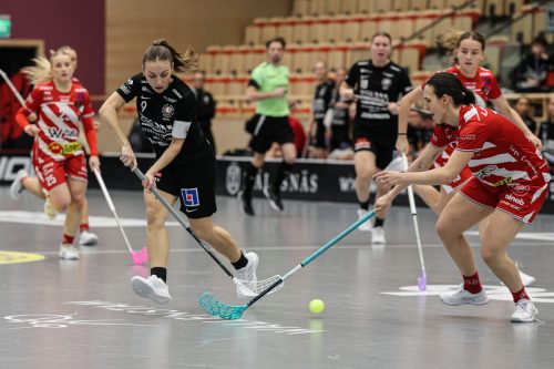 20260102 PixboStorvreta 0245