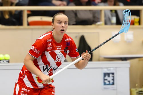 20260102 PixboStorvreta 0255