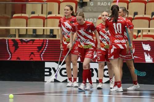 20260102 PixboStorvreta 0273