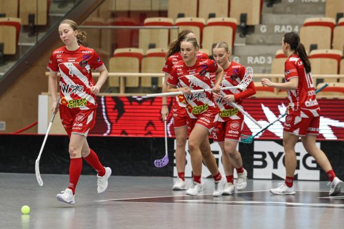 20260102 PixboStorvreta 0274
