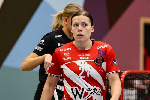 20260102 PixboStorvreta 0282