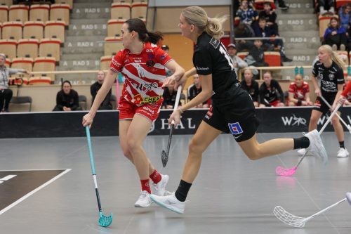 20260102 PixboStorvreta 0288