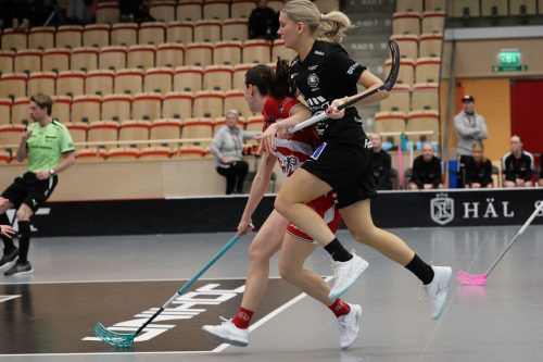 20260102 PixboStorvreta 0289