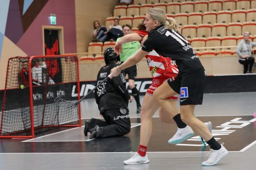 20260102 PixboStorvreta 0290