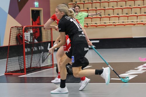 20260102 PixboStorvreta 0291