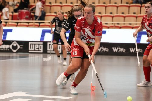 20260102 PixboStorvreta 0296
