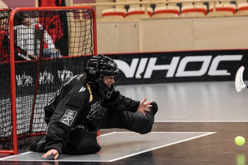 20260102 PixboStorvreta 0297