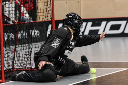 20260102 PixboStorvreta 0298