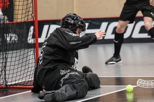 20260102 PixboStorvreta 0299