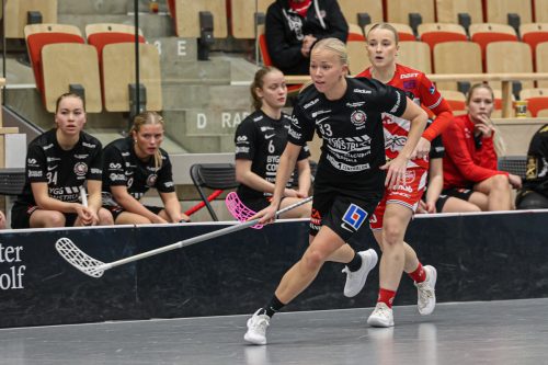 20260102 PixboStorvreta 0303