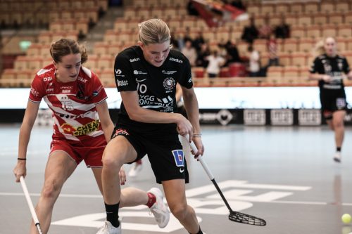20260102 PixboStorvreta 0306