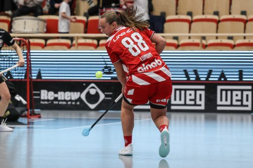 20260102 PixboStorvreta 0309