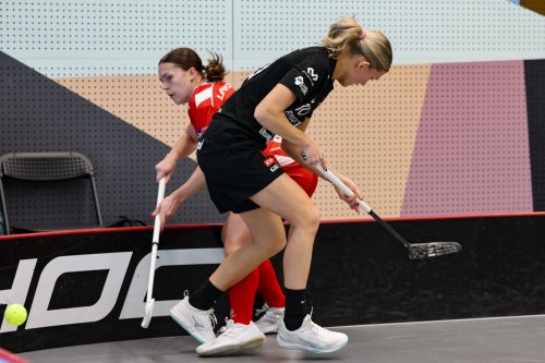 20260102 PixboStorvreta 0311