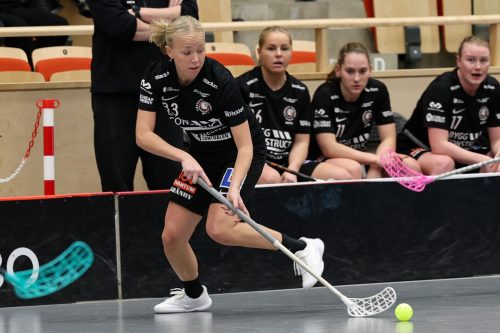 20260102 PixboStorvreta 0313