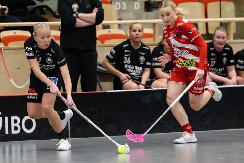 20260102 PixboStorvreta 0314