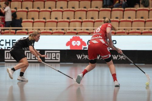 20260102 PixboStorvreta 0331