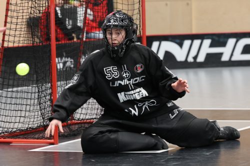 20260102 PixboStorvreta 0336